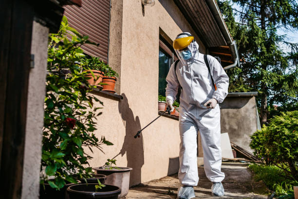 Best Affordable Pest Control Services  in Essex Village, CT