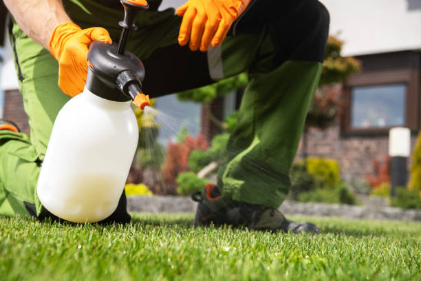 Best Pest Control Treatment  in Essex Village, CT