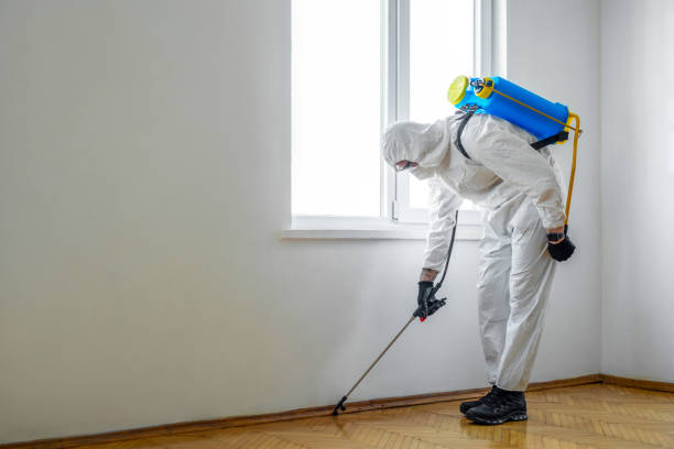  Essex Village, CT Pest Control Pros