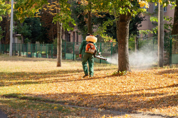 Best Mosquito Control Services  in Essex Village, CT